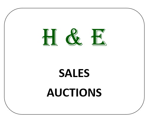H & E Auctioneering & Equipment sales